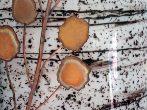 Aspen Glass Sconce w/ Copper Leaves