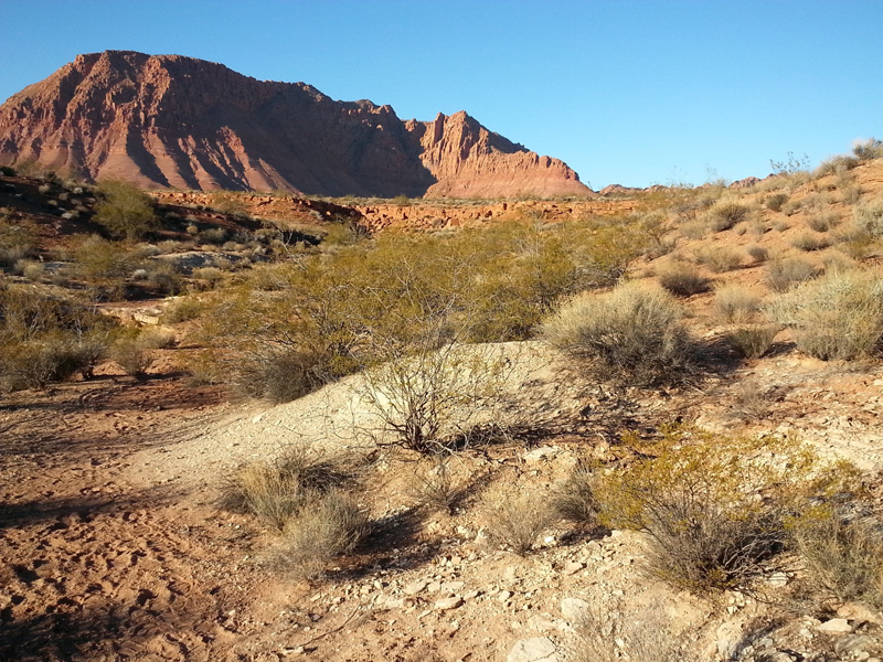 Desert Style // Western reflection // nature's colors by Mike Dumas Copper Designs